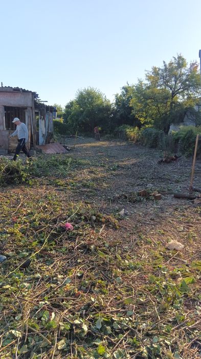 Розчистка території від Дерев трави та зелених насаджень, вивіз гілля