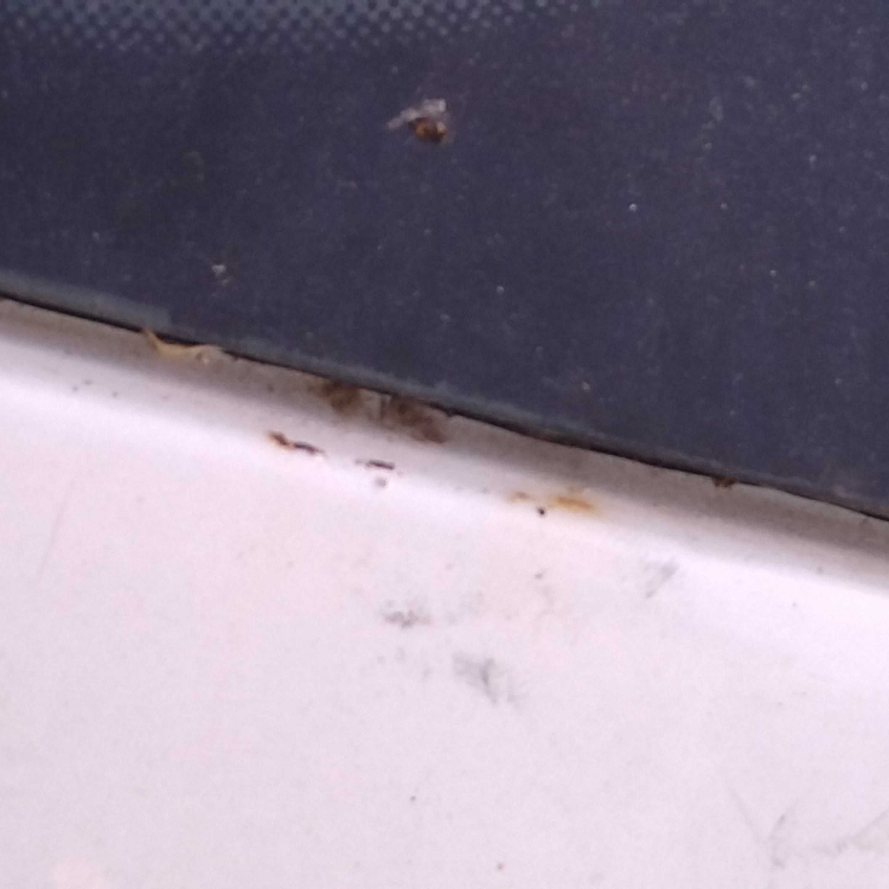 drzwi lusterko maska klapa szyba zderzak passat b5 kombi  fl LB9A