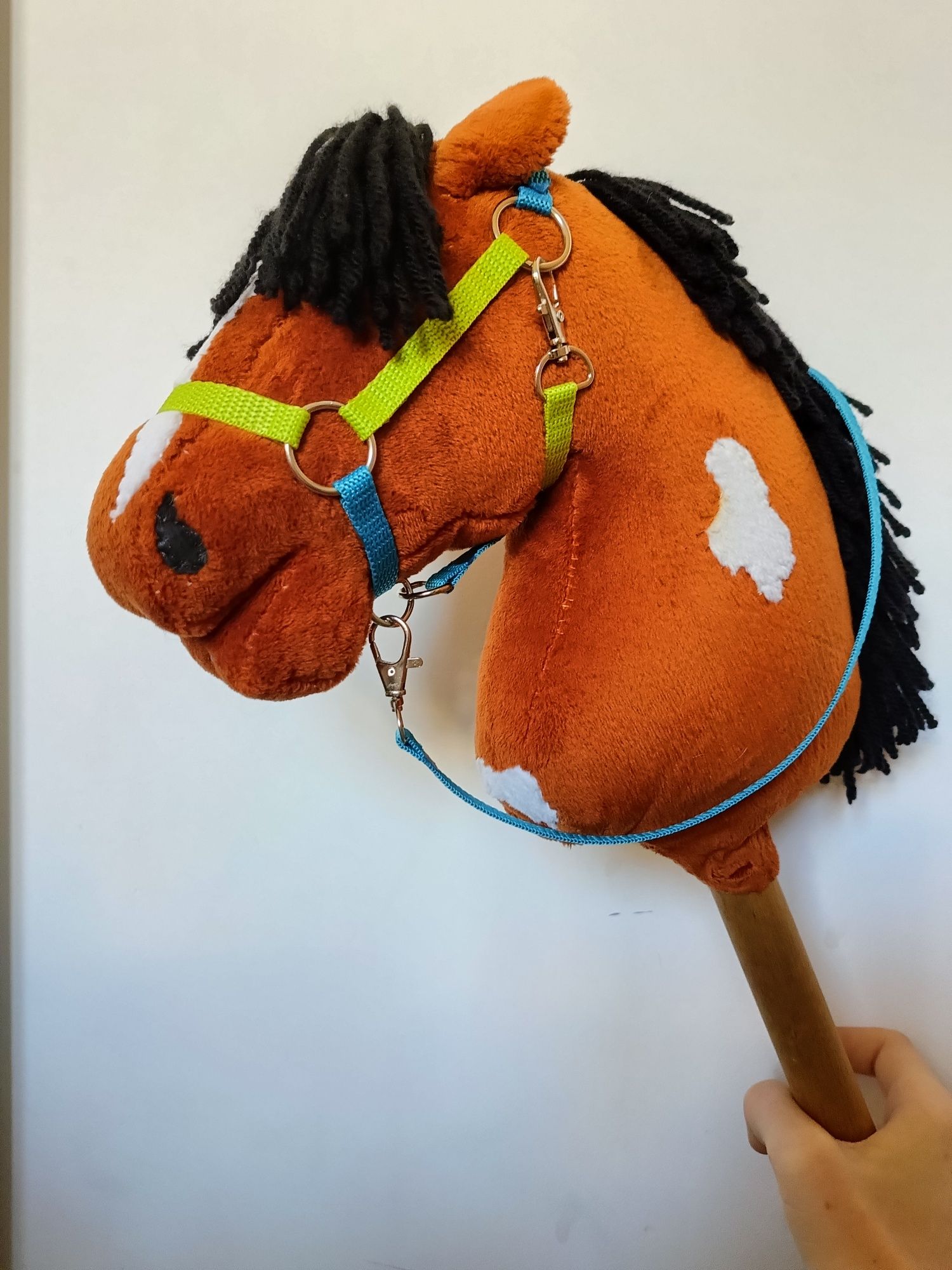 Hobby horse A4 rudy