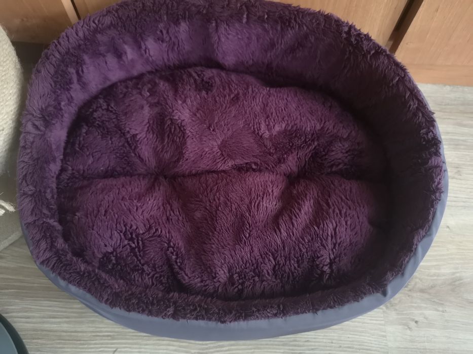 Zestaw dla kotka drapak, zabawka, legowisko