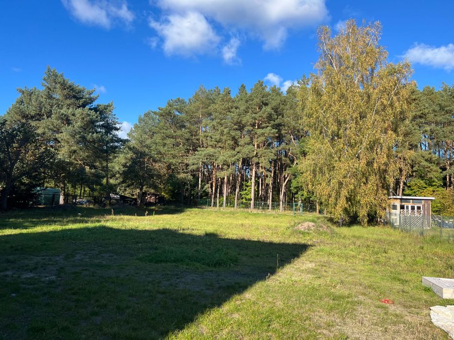 Działka na Wołczkowie przy ul. Lipowej pod LASEM!!!