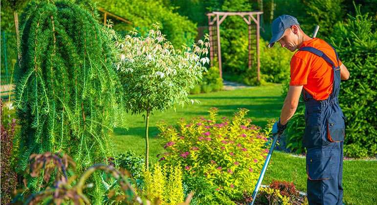 SERVIÇOS DE JARDINAGEM | SANTO TIRSO E ARREDORES | MSFLOR.PT