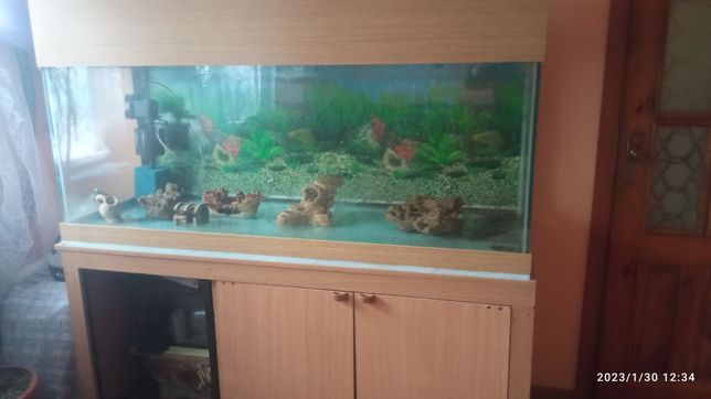 Продам аквариум на 500 литров