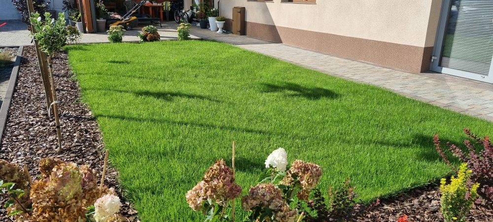 Trawa z rolki sprzedam