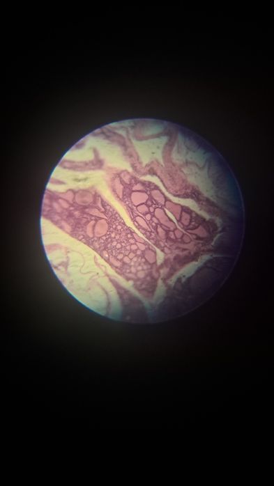 3 Микроскопа УШМ-1