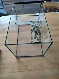 Terrarium dla żółwia