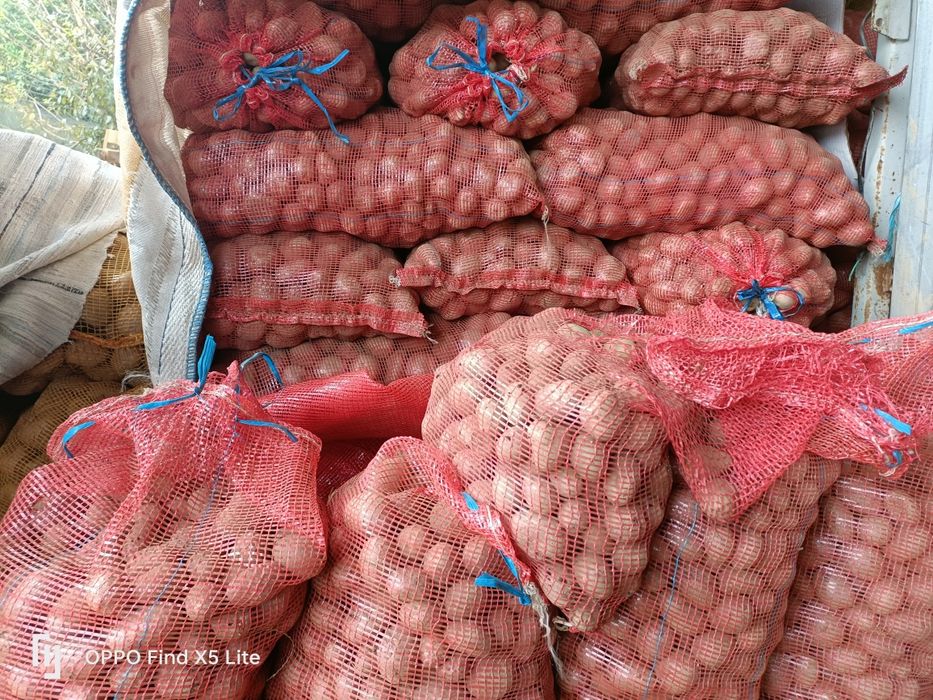 Batata para animais