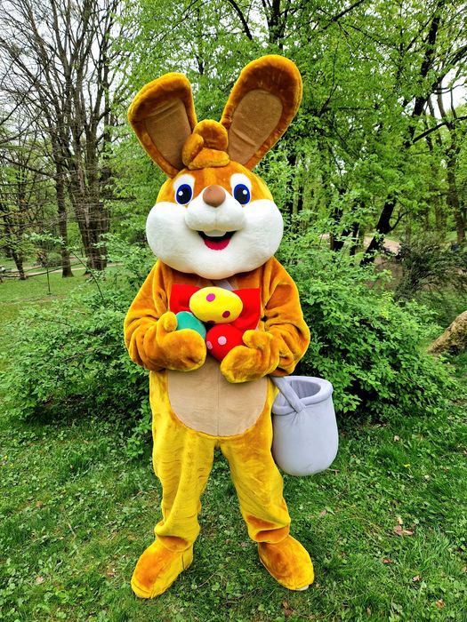 Ростові ляльки експрес привітання аніматори Львів Пес Патрон