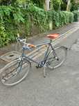 Rower Gazelle Van Stael