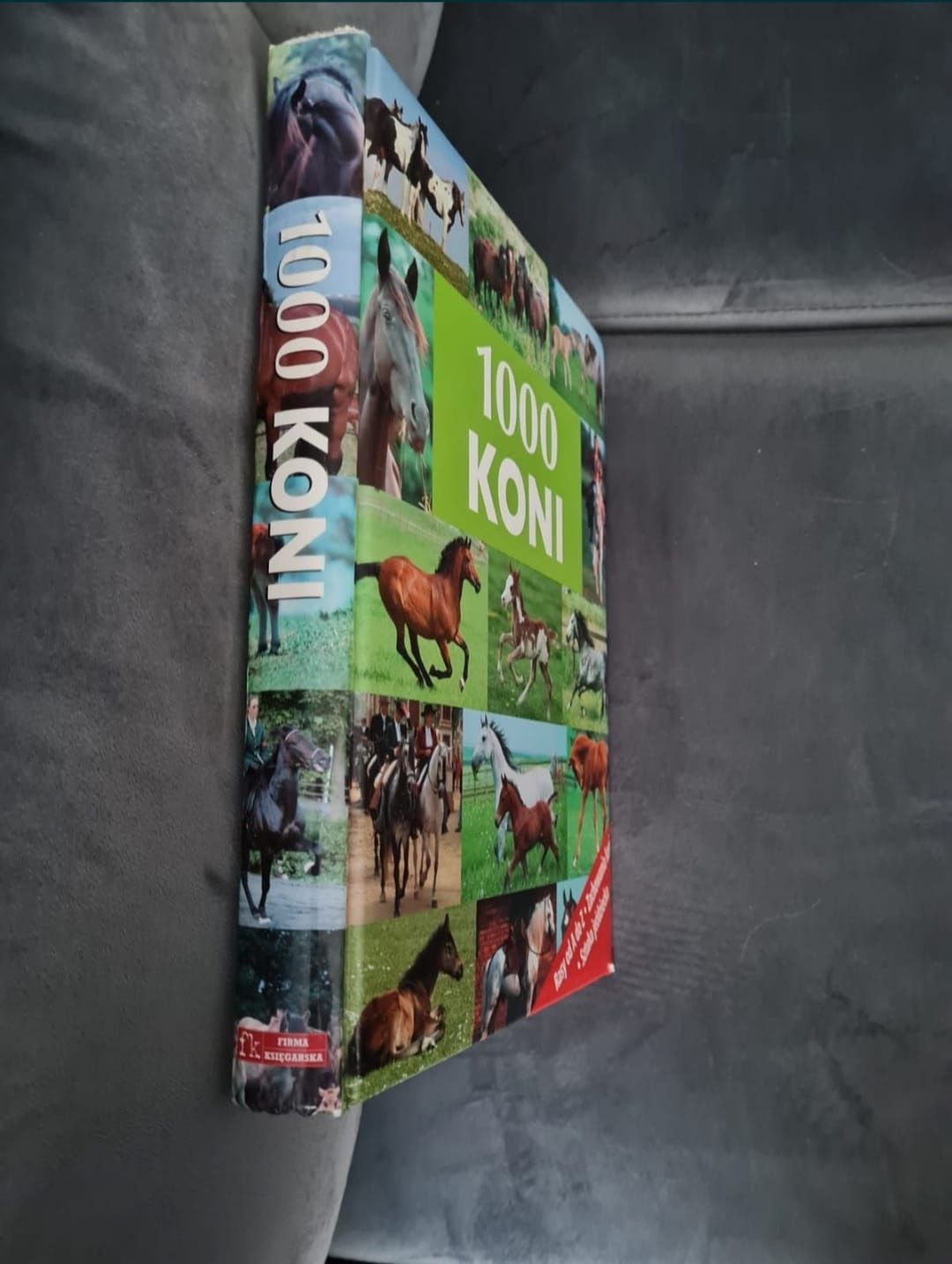 Encyklopedia 1000 Koni