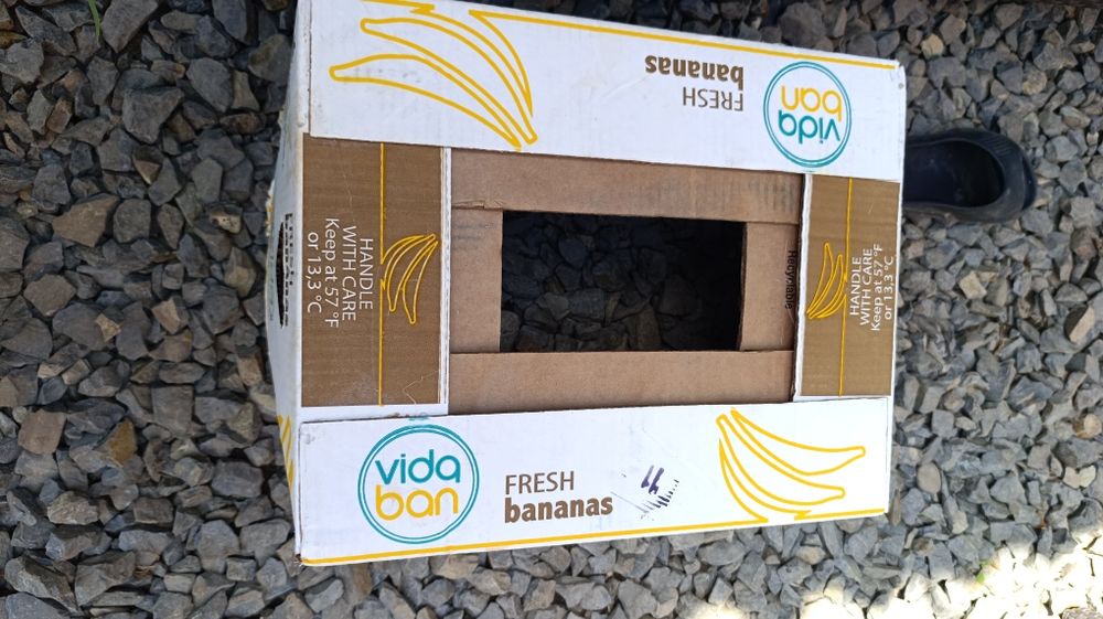 Продам Бананові Коробки