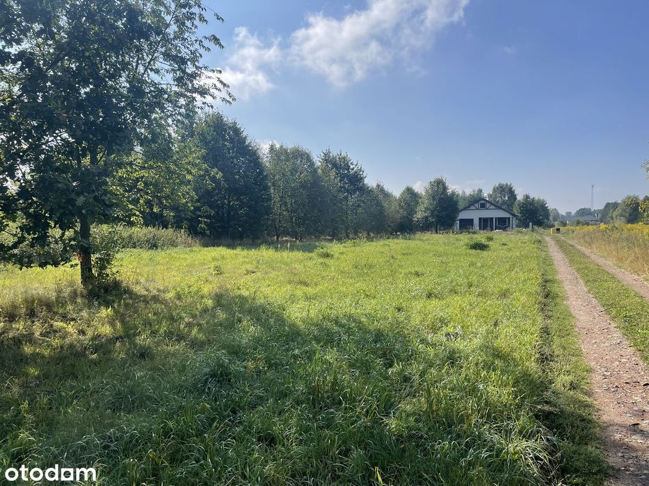 Działka Budowlana 860 m² | Media | Mpzp | Las | Halinów | Krzewina