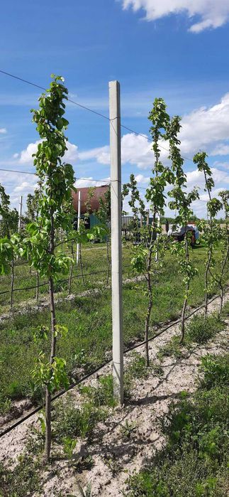 Садові стовпчики Бердичів ( низька ціна, низька якість, наявність)