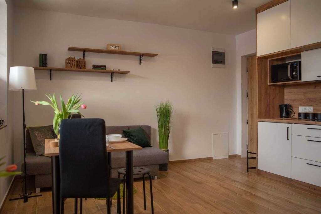 Apartament typu studio "Place 4 You" na wynajem blisko jeziora.