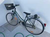 Bicicleta adulto