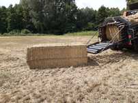 Uslugowe prasowanie slomy duza kostka 33 zl sztuka vicon claas krone