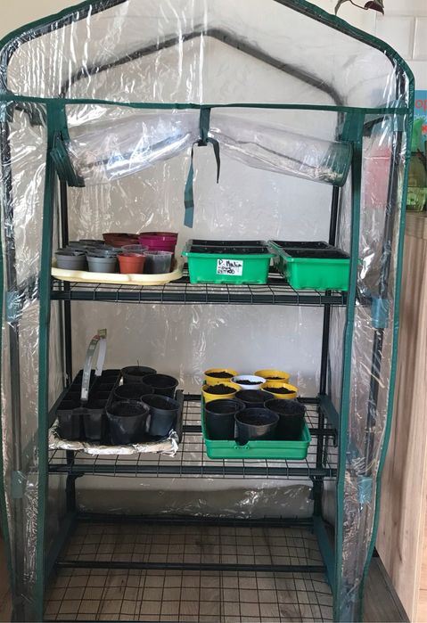 Szklarnia ogrodowa na balkon regał warzywniak foliak na dobiczki