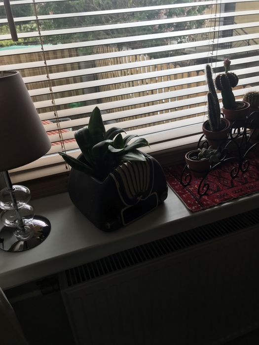 Żuzja GoodHome drewniana Colours Cana 120x180 jasna