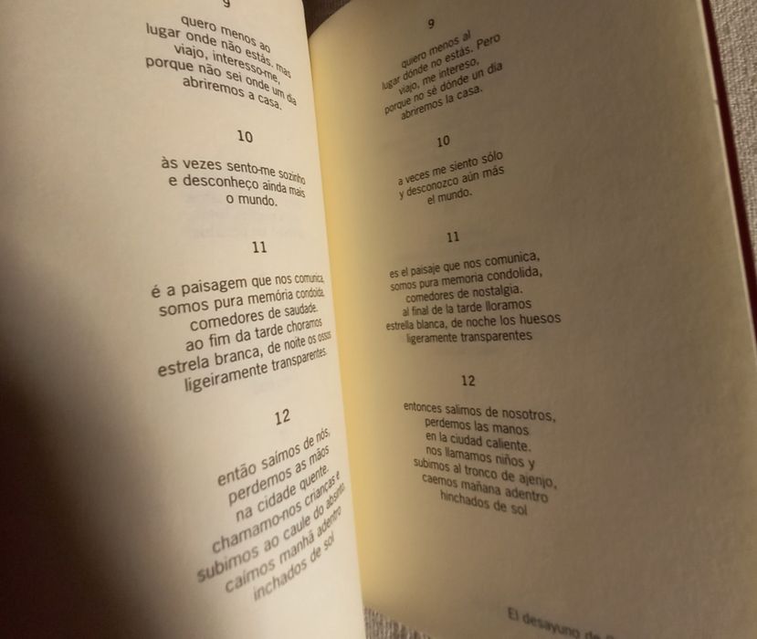 Livro de poesia de Rui Costa O Pequeno Almoço de Carla Bruni