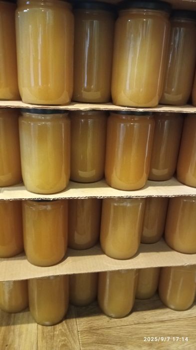 Miód wielokwiatowy w słoikach 1kg, hurt