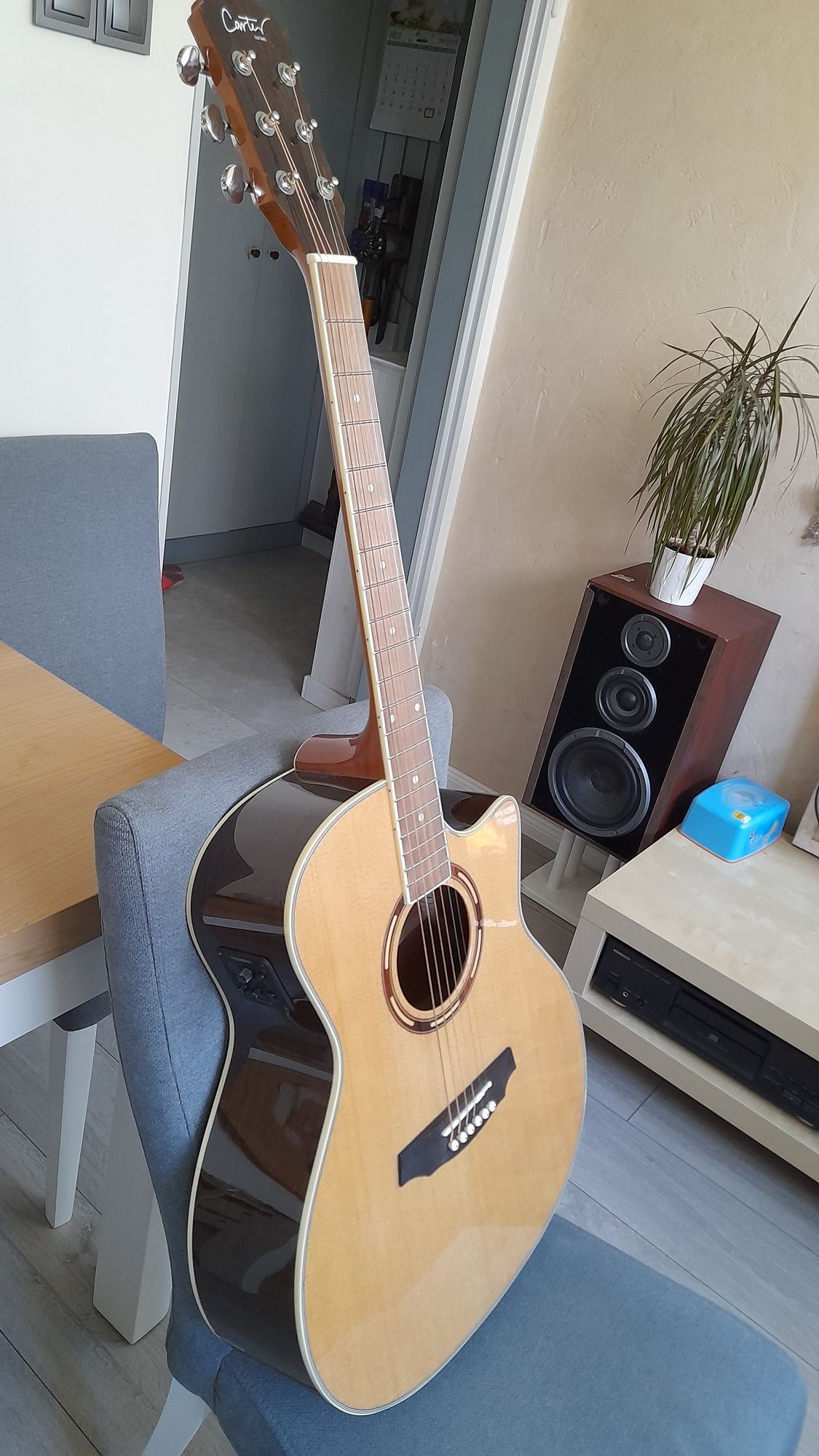 Gitara Elektroakustyczna Carter Guitars