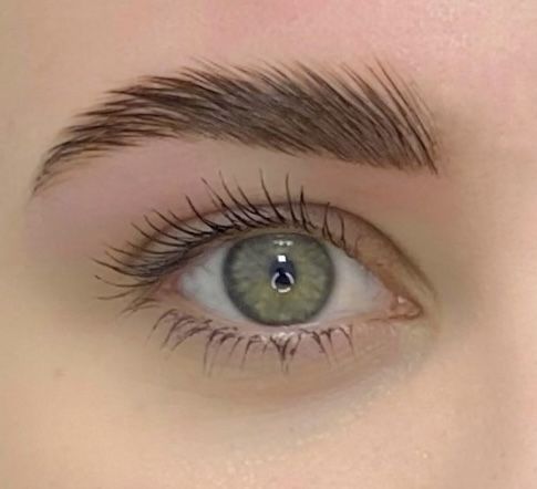 ламінування брів та вій, бровівст, Харків, Олексіївка