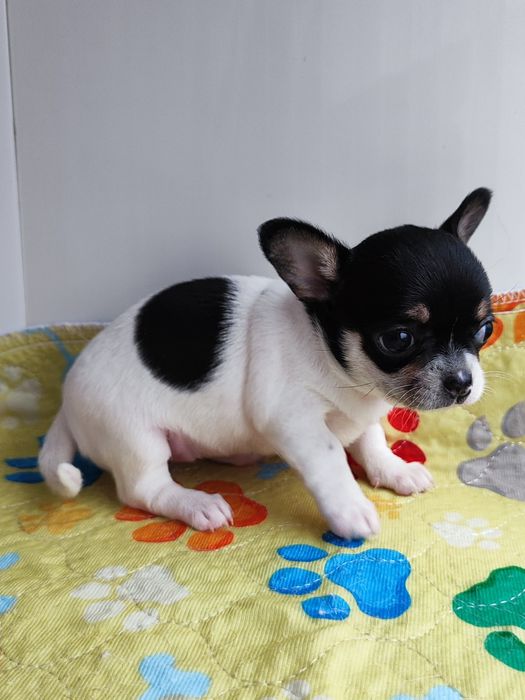 Кукляшная девочка