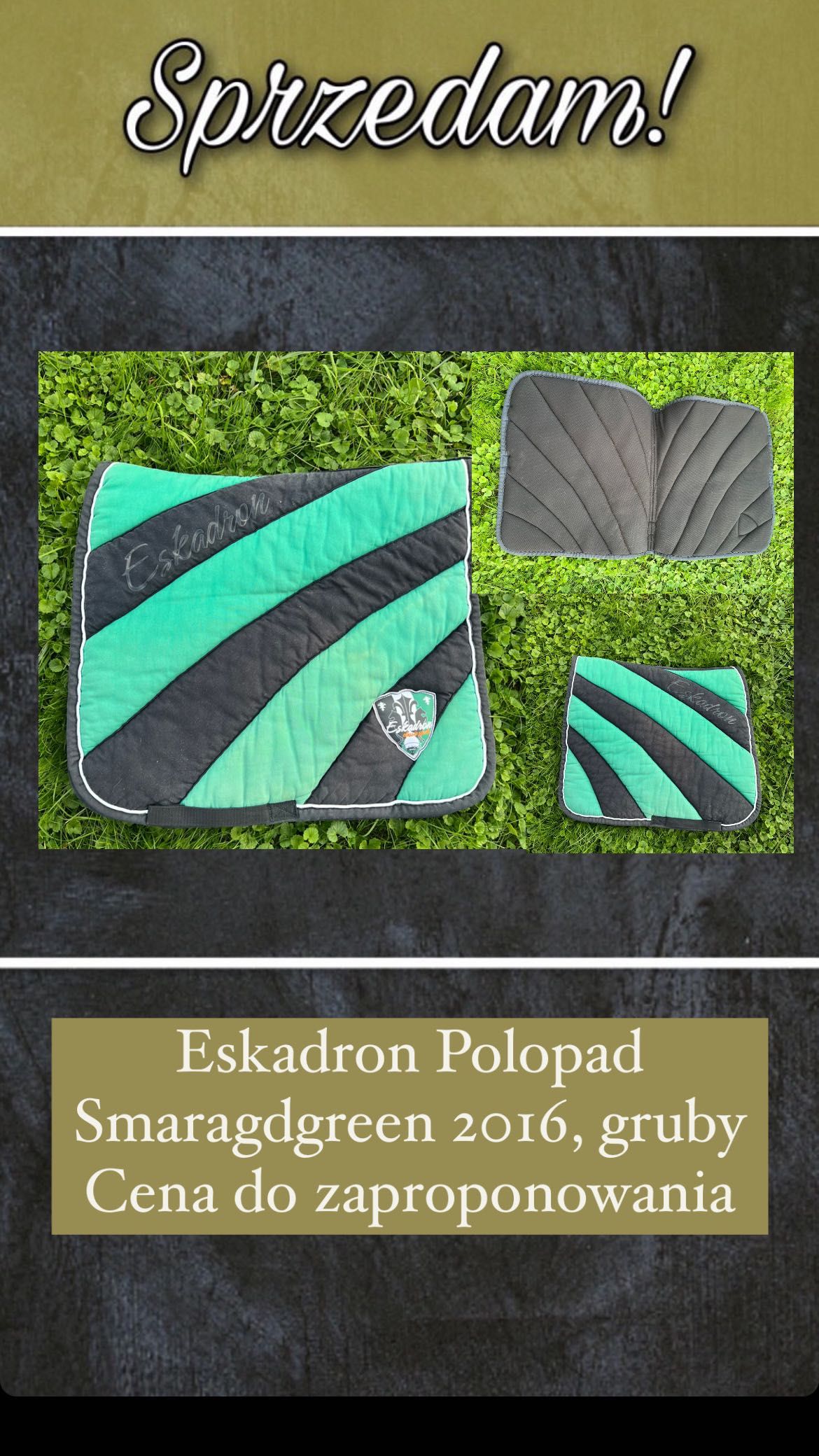 Czaprak Eskadron Smaragdgreen 2016 POLOPAD