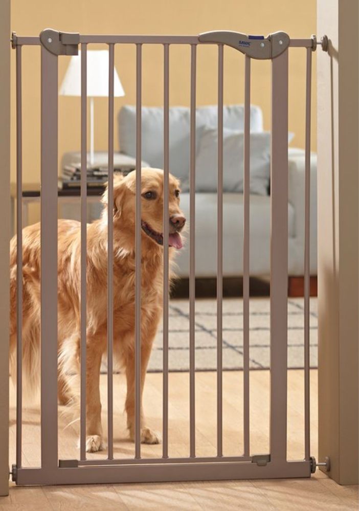 Barreira para cães