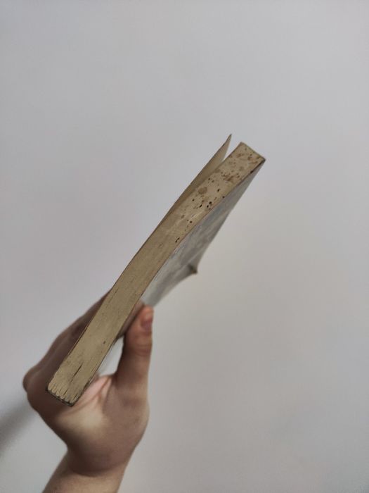 Speak English Fluently book 2 Ona Low