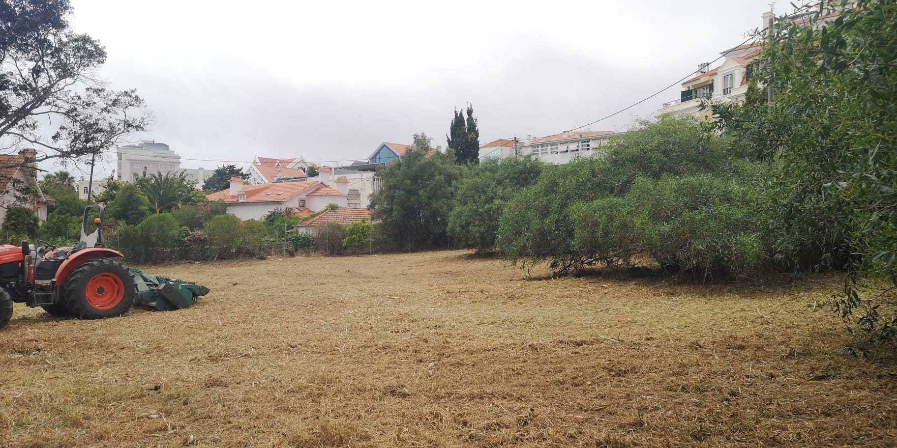 Limpeza e desmatação de terrenos