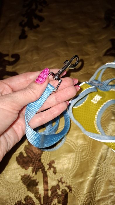 Поводок, шлея для собак