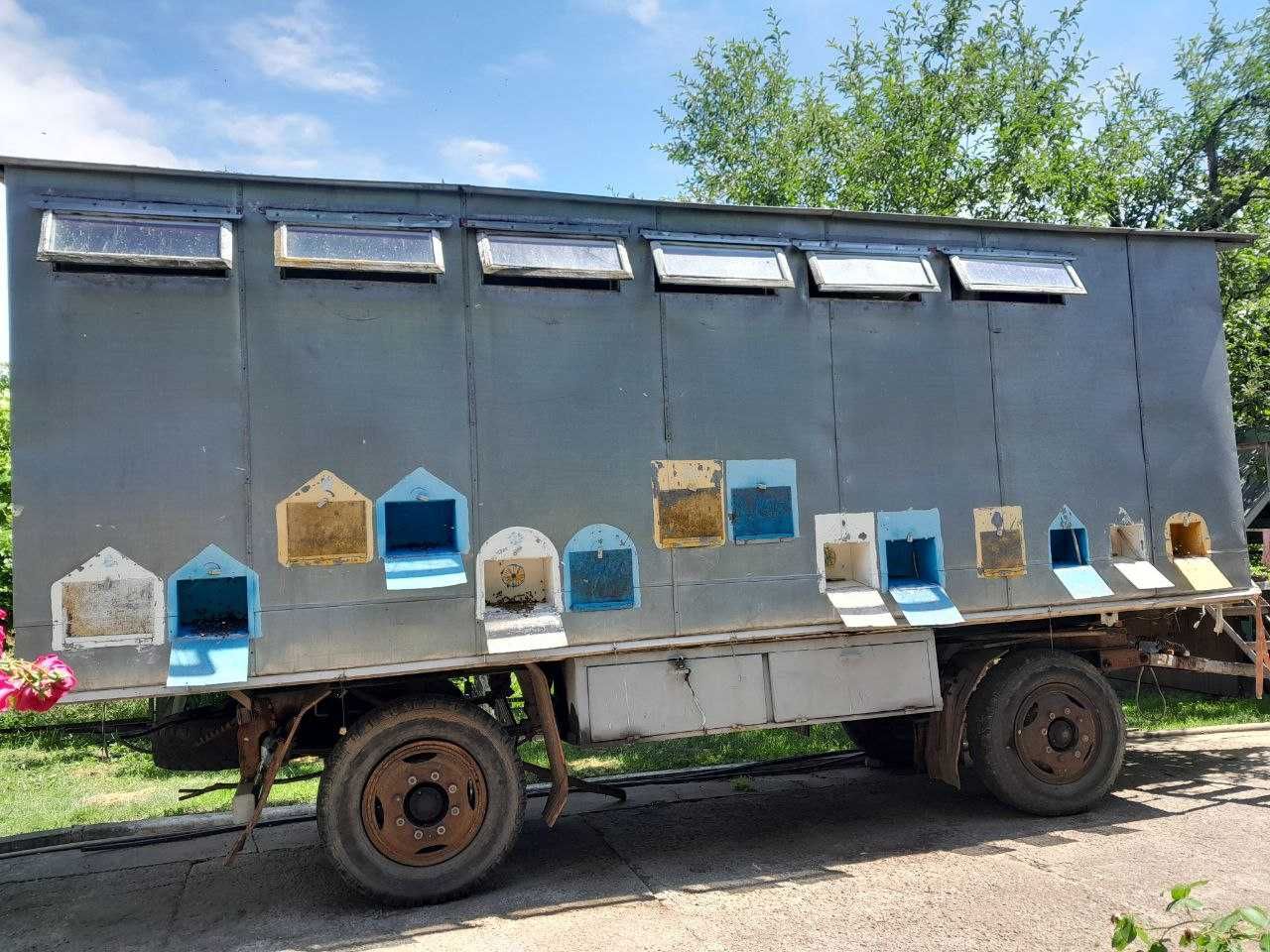 Продам пасіку з бджолами та інвентарем все під ключ