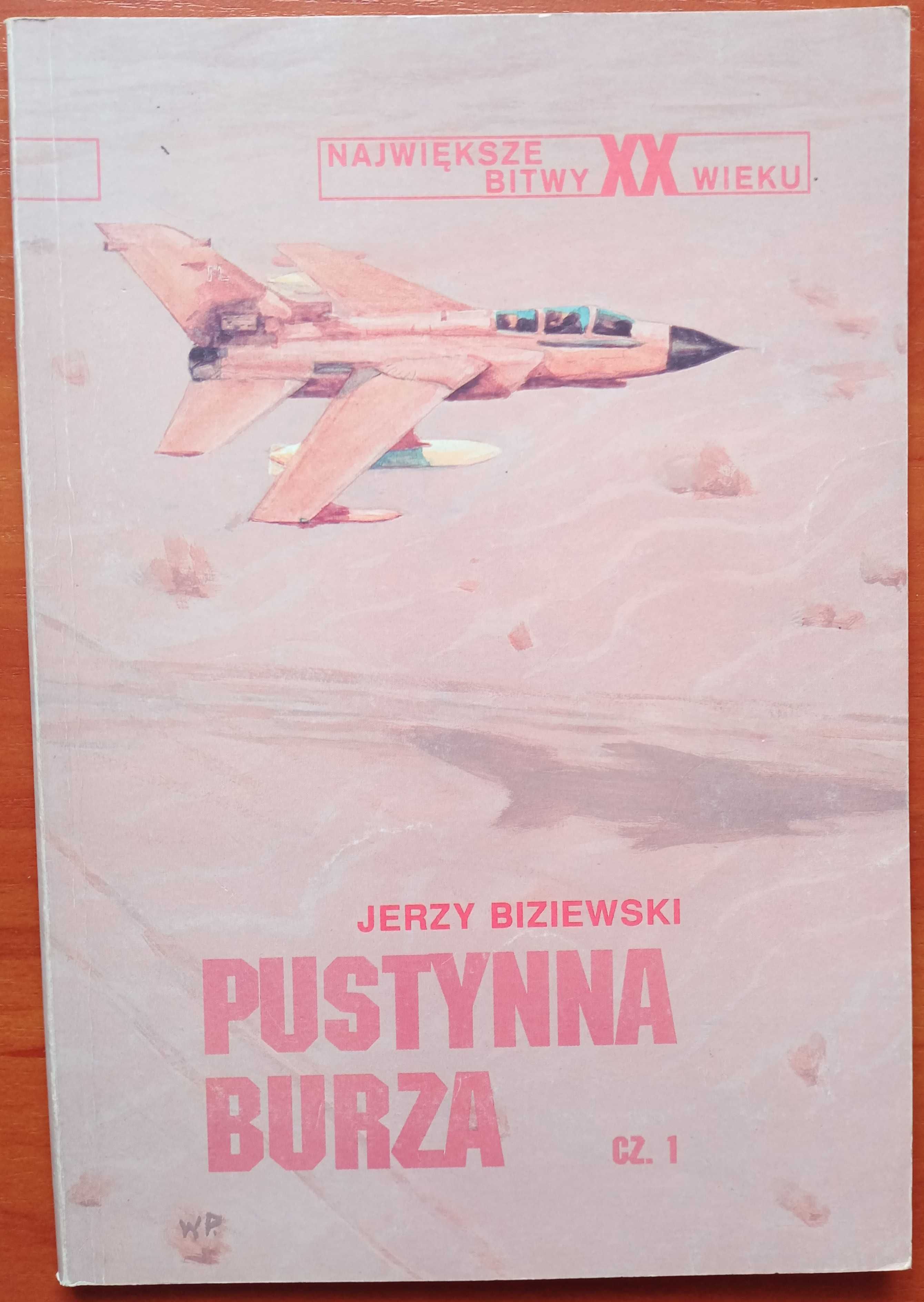 Jerzy Biziewicz, Pustynna burza