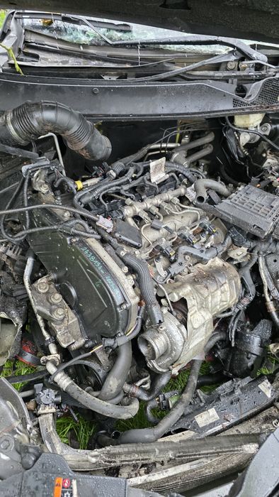 Opel Insygnia 2011 rok