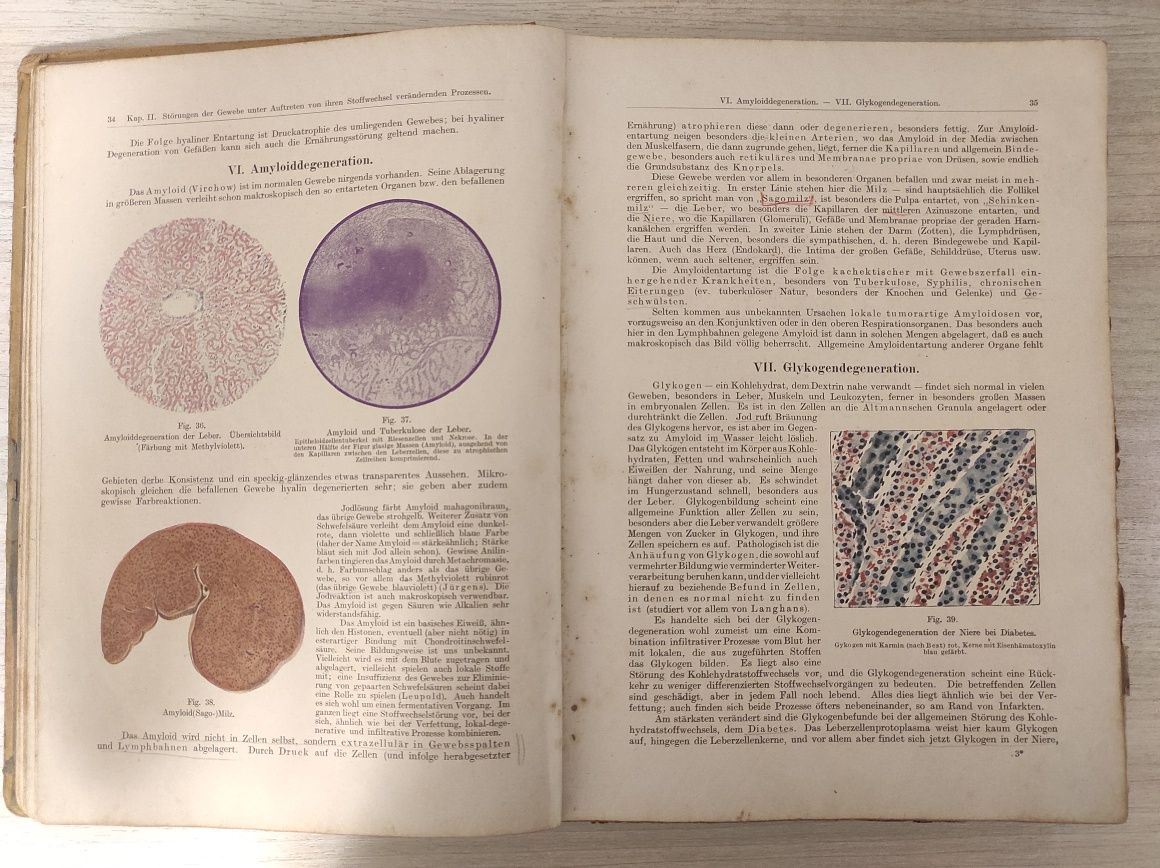 Grundlagen der Pathologischen Anatomie von Prof. Dr. Gotthold Herxheim