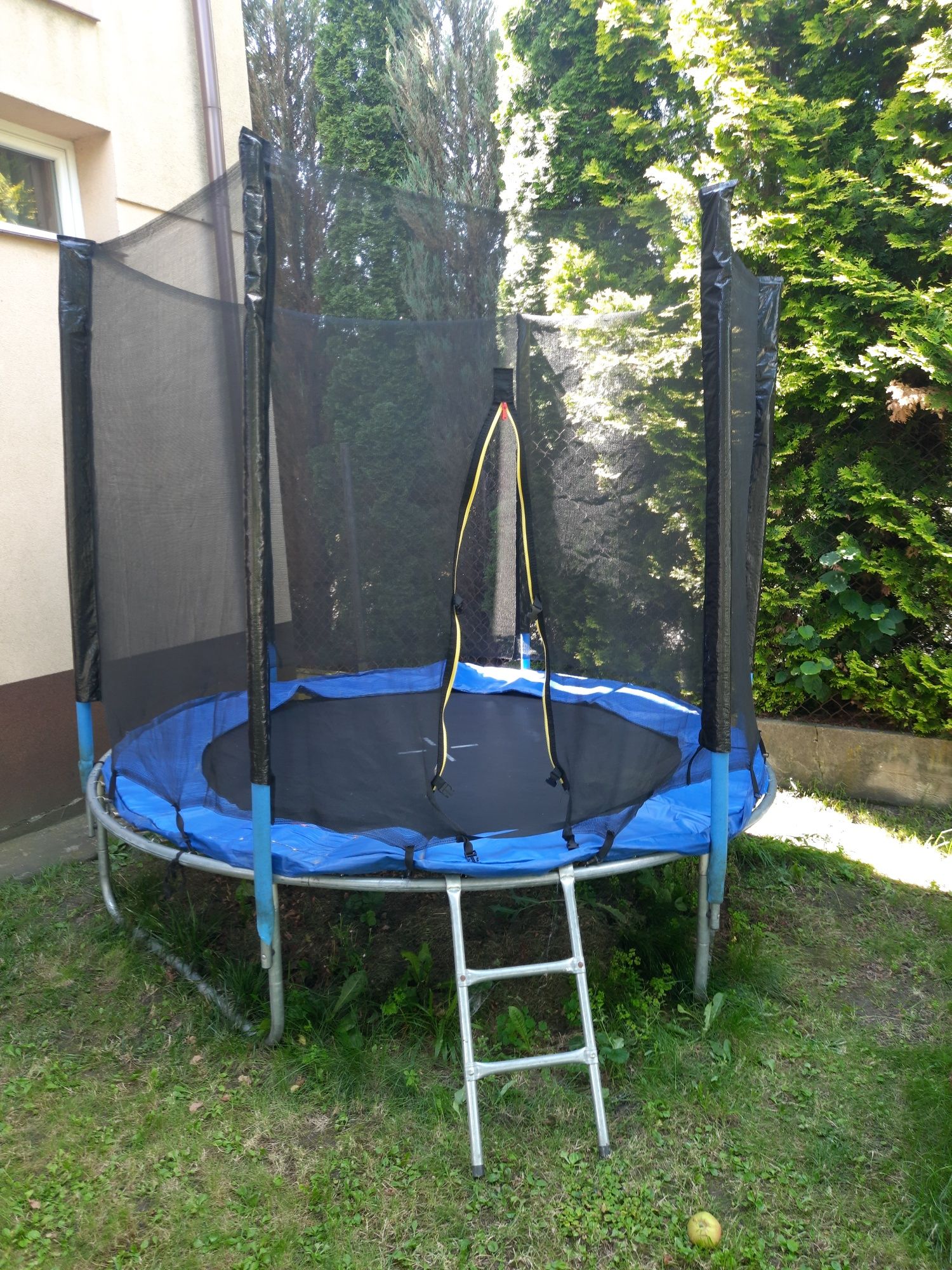 Trampolina używane