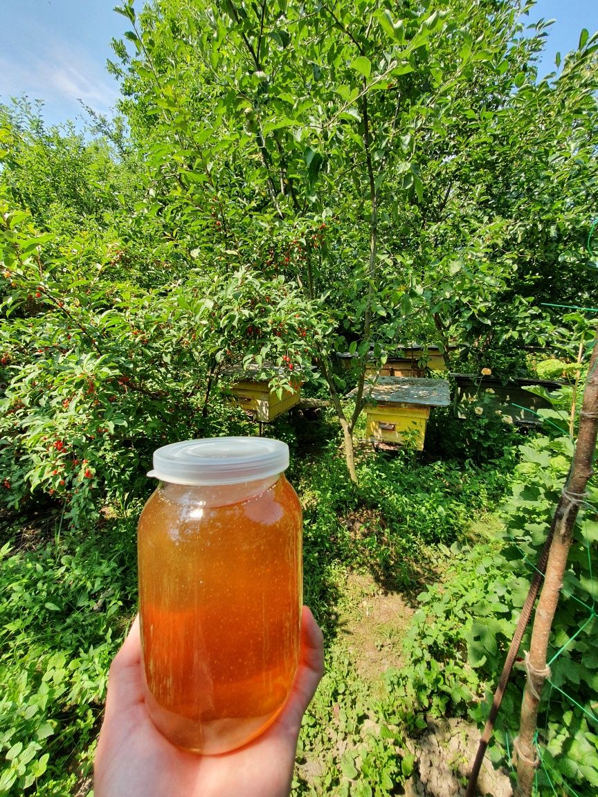 Натуральний закарпатський мед