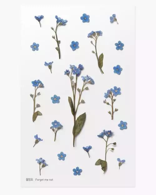 Naklejki ozdobne kwiaty Niezapominajki. Appree