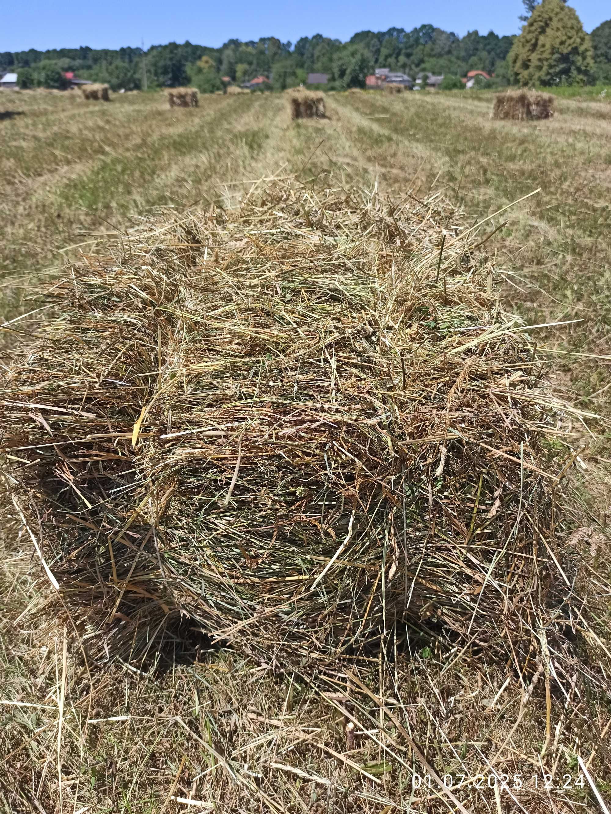 Продам сіно в тюках, можлива доставка