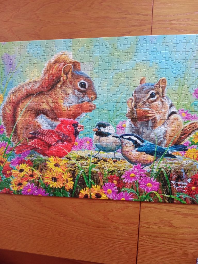 Puzzle Castorland 500 wiewiórka