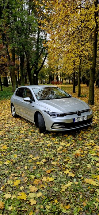 Volkswagen Golf 8 1,5 eTFSI 150km z skrzynią DSG iQ light. Virtual coc