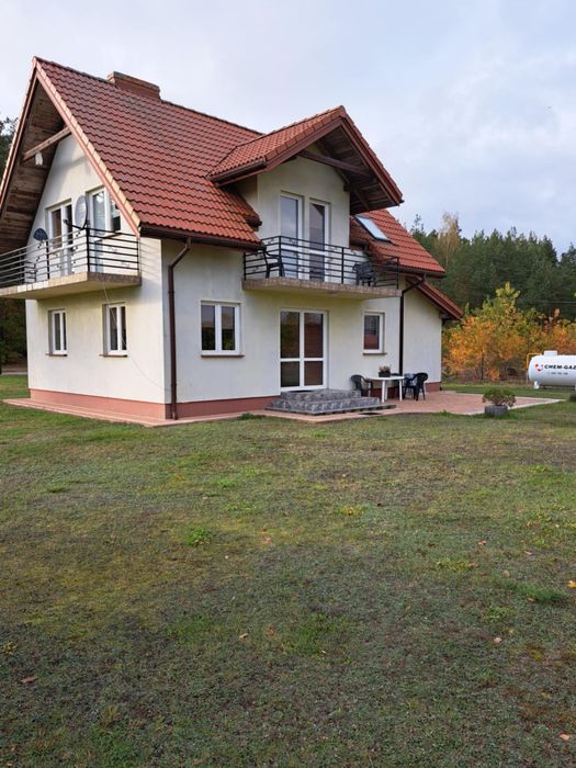 Wynajem od 1 grudnia