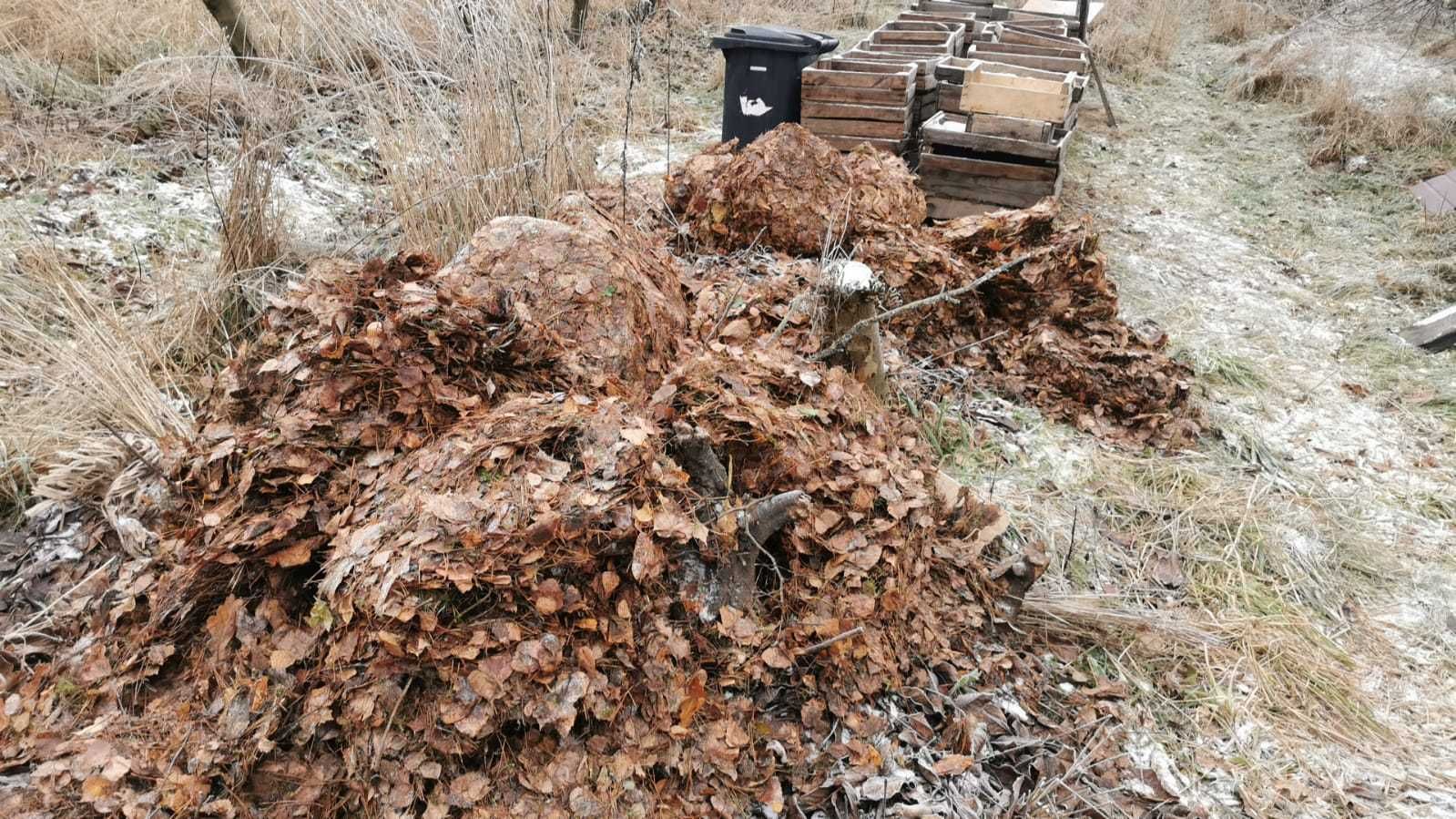 Oddam działkę pod liście, gałęzie trawę zrębki siano słoma obornik