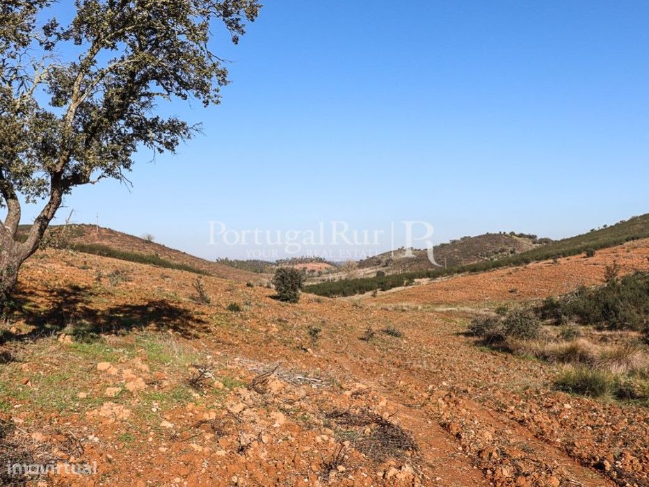 Propriedade de 8 hectares em Terena - Alandroal