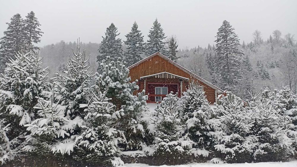 Здам котедж на Новорічні Різд вяні свята.