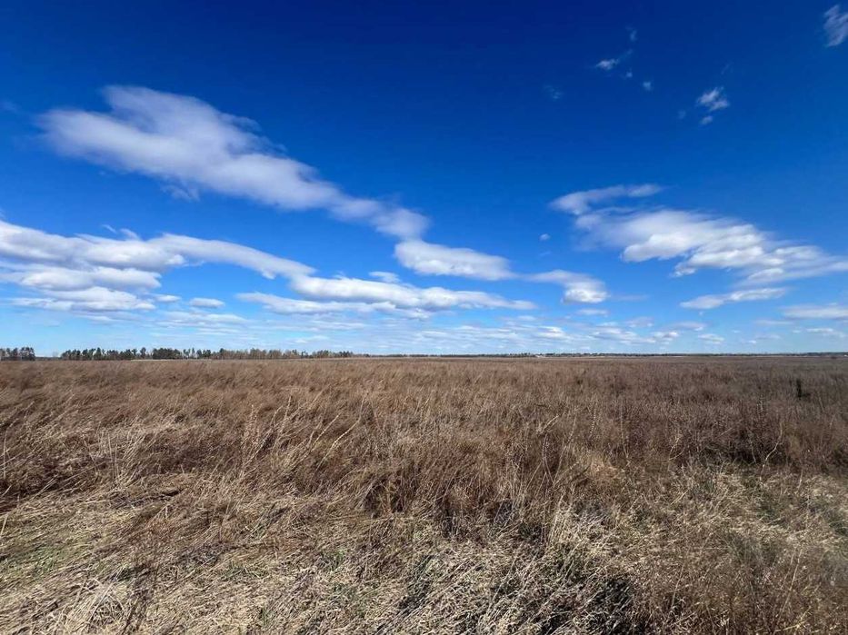 Продаж земельної ділянки 1,46га (ОСГ). Терміново! ТОРГ! ID:679