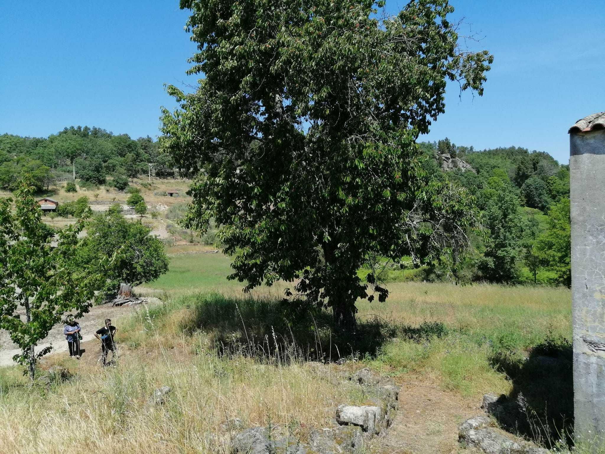 Casa com Terreno Cal de Bois , Alijó Populo