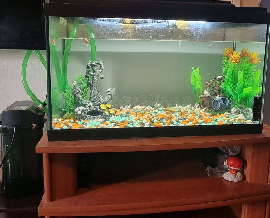 Aquário mais filtro Eheim. 250