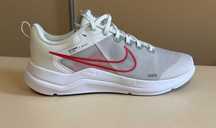 Nike Чоловічі кросівки Downshifter 12 Platinum DD9293-009